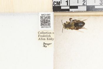Media type: image;   Entomology 773177 Aspect: Labels